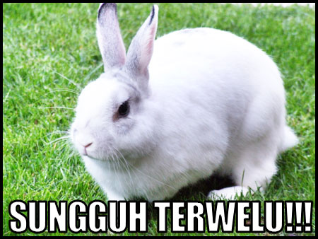 sungguh terwelu
