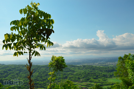 Gunung Kidul