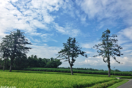 Pemandangan Berbek