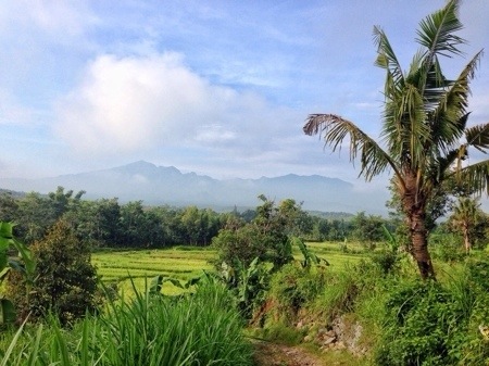 Pemandangan gunung Wilis