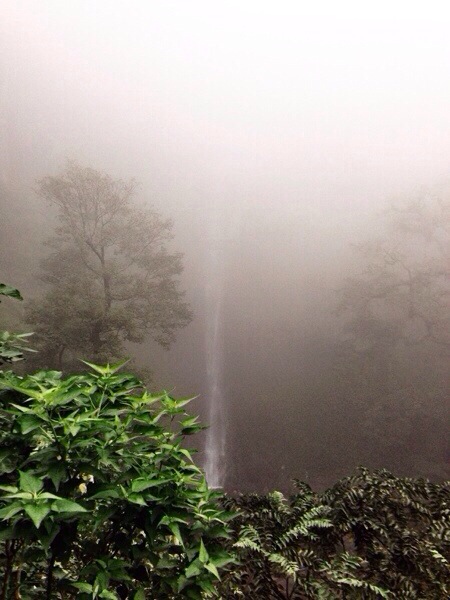Kabut di Sedudo