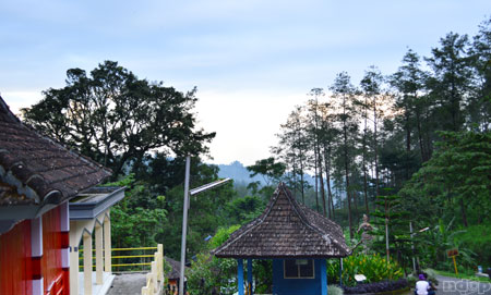 Pemandangan Bagus Roro Kuning