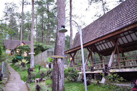 spot leyeh-leyeh