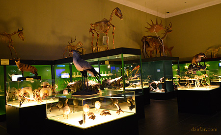 Dinosaurus di Museum Satwa