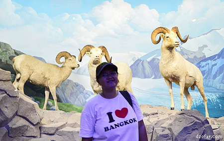 Rian dan Domba