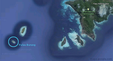 Pulau Burung Karimun jawa