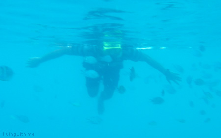 ndop snorkeling