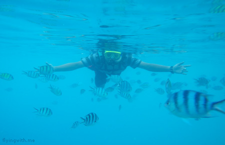 ndop snorkeling lagi
