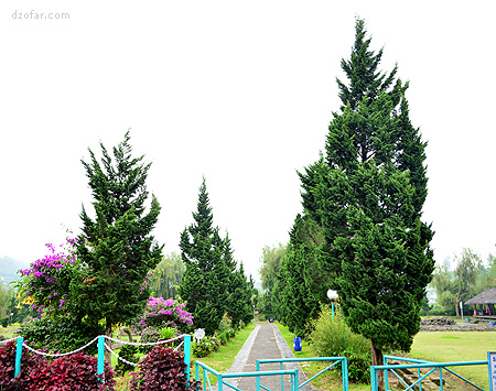 Taman di sekitar Pendopo
