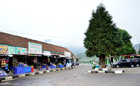 Pusat Oleh-oleh Dieng