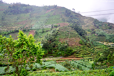 View Perjalanan menuju Dieng
