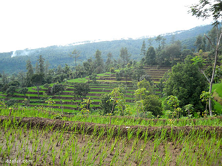 View Gunung