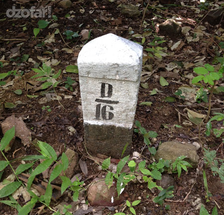 Patokan D16