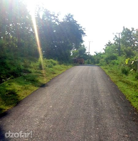 Jalanan aspal halus