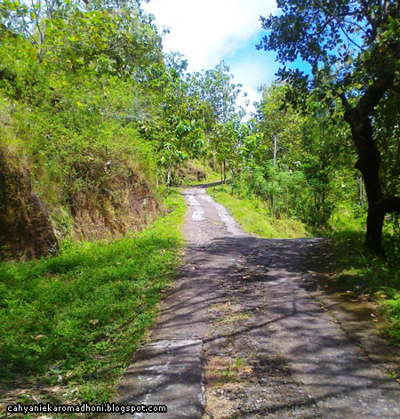 Jalan menuju Banyunibo