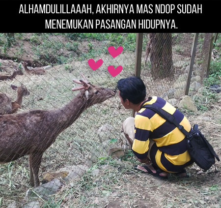 Rusa cinta