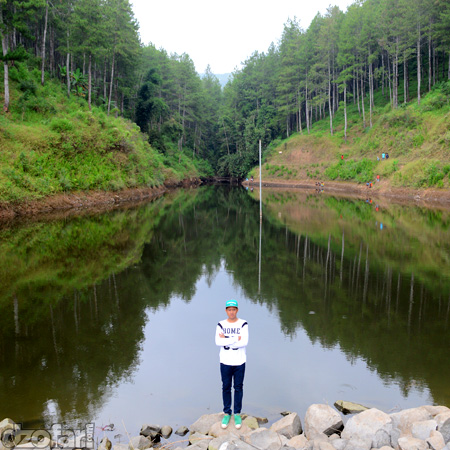 Estumulyo dan model