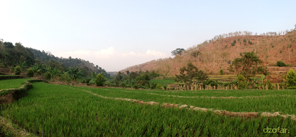 Rimbun ke Tandus