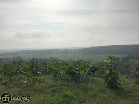 Kabut Bukit Cinta