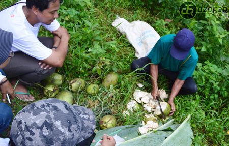 Makan kelapa muda