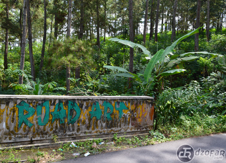 Road Art