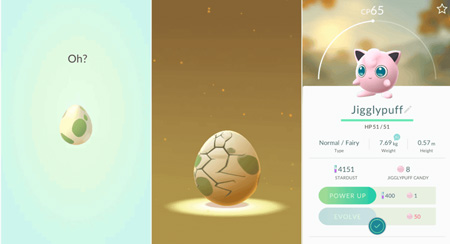 Egg Hatching