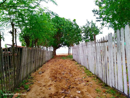 Jalan menuju nepa