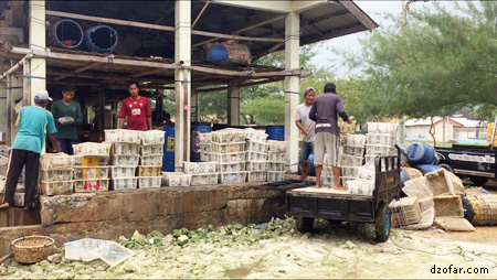 mas mas pengemas ikan