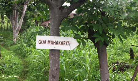 penunjuk arah