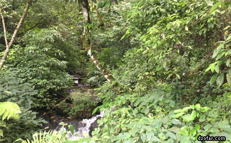 Sungai di Sri Gunting