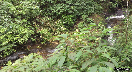 Sungai di sekitar Air Terjun