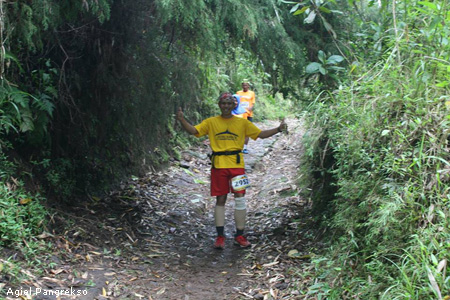 melewati hutan bambu