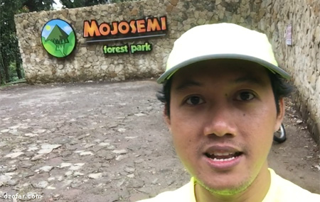 Ndop di Mojosemi Forest park