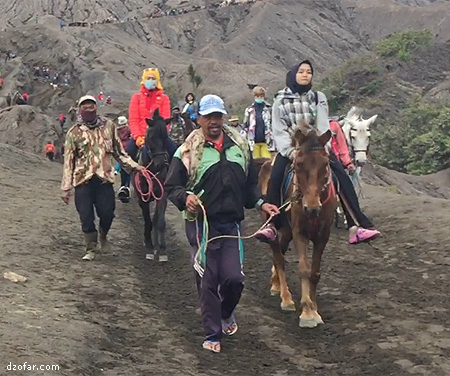 Naik kuda ke kawah bromo