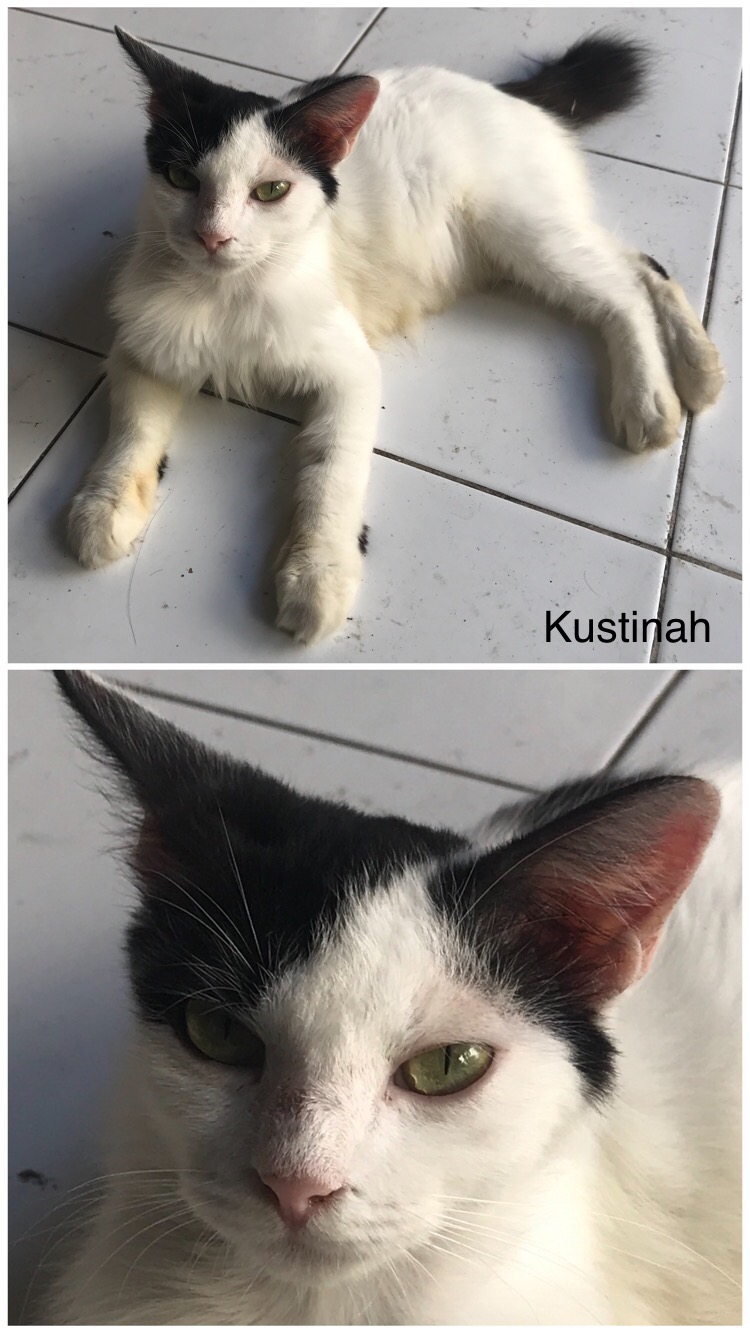 Maurin Kustinah