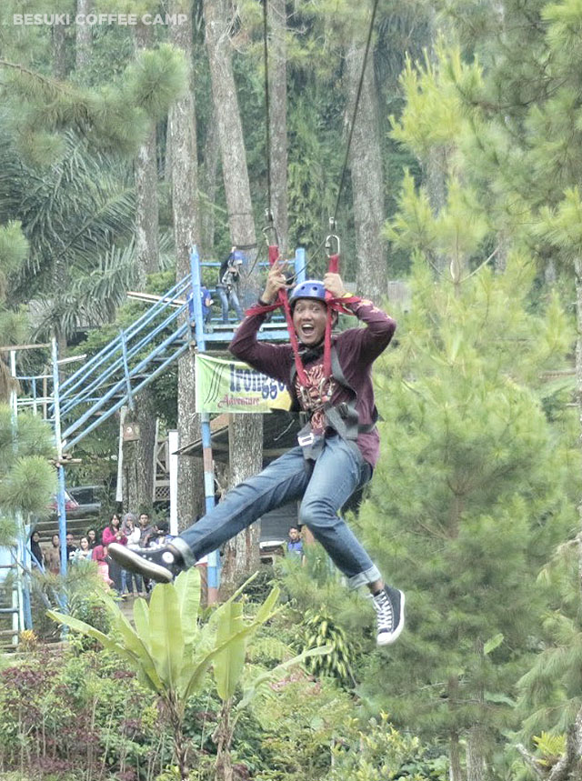 ndop flying fox