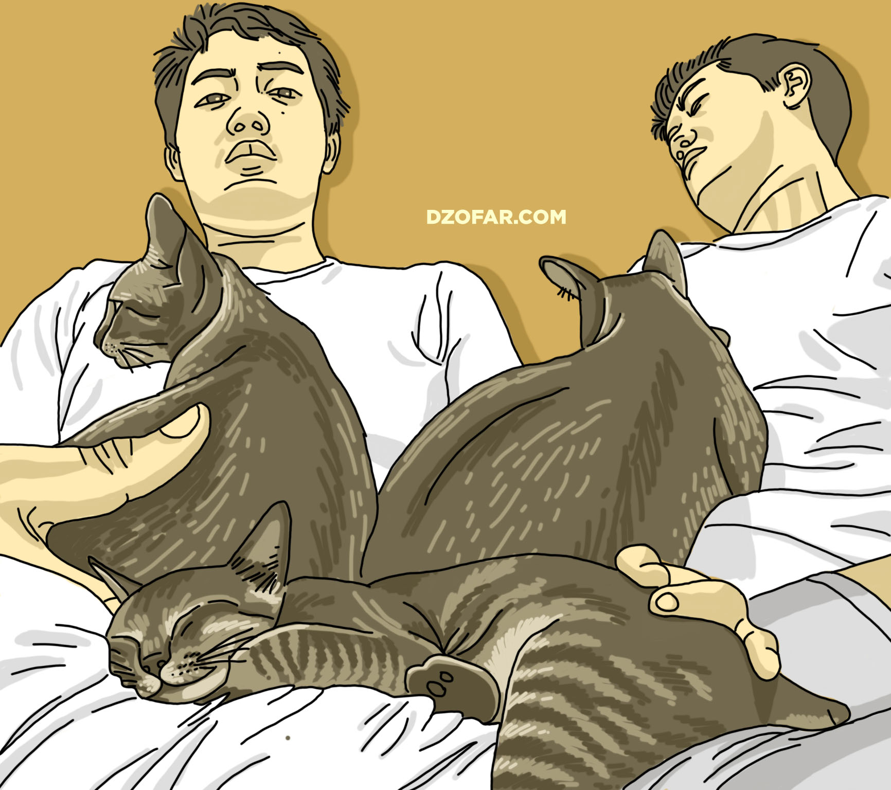 Kucing