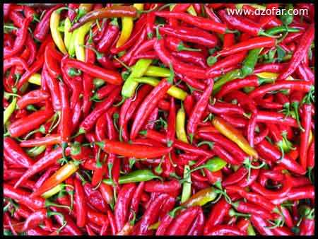 lombok impling, cabe rawit
