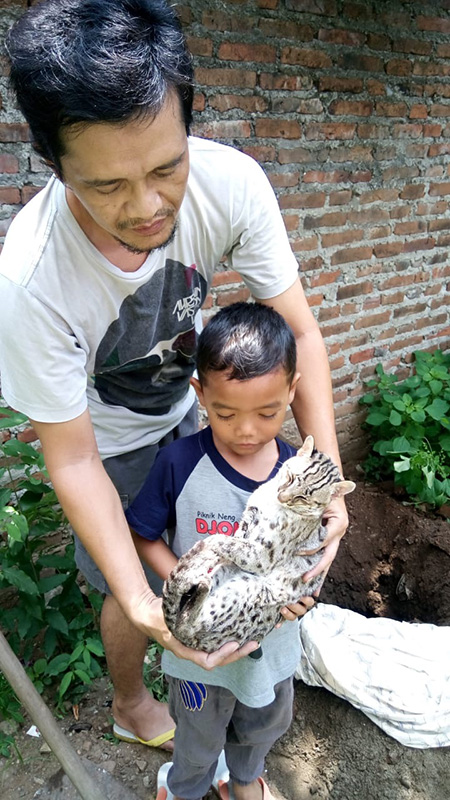 Kino Ketika Mau Dikubur