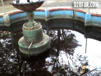 Kolam kodok