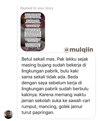 pendapat netizen