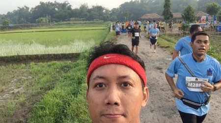 Melewati Sawah-sawah