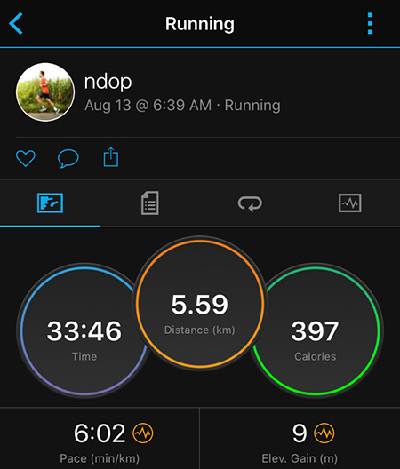 catatan garmin