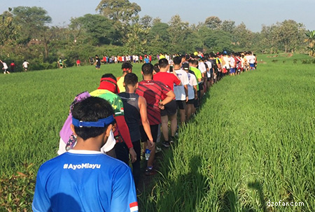 melewati pematang sawah