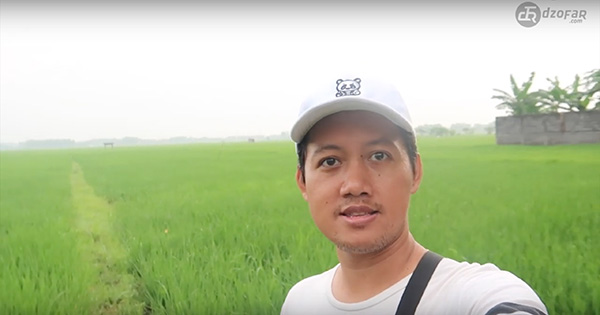 sawah di depan hotel nirwana