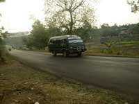 Kuncir Nganjuk